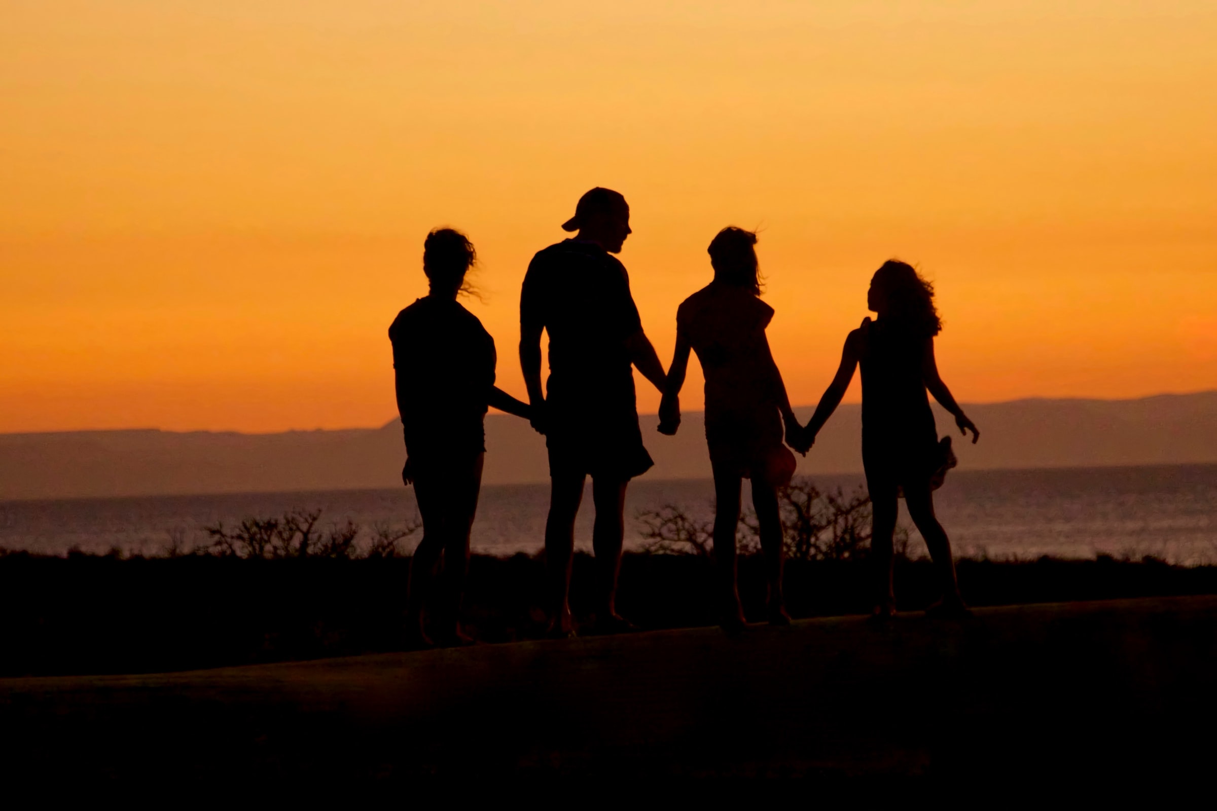 Rent Your Timeshare On Koala KOALA Owner Insights