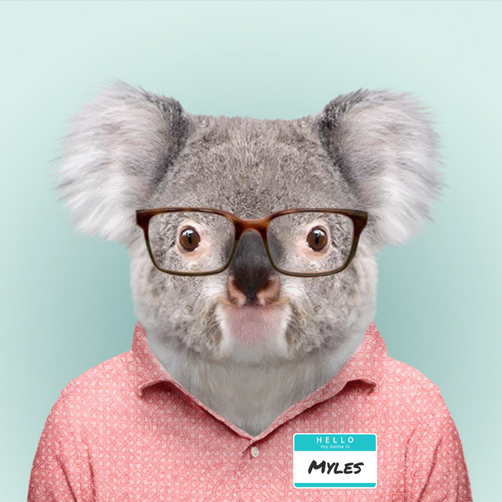 Rent a Timeshare for the Whole Family KOALA Travel Inspirational Vacation Blog Curated by KOALA